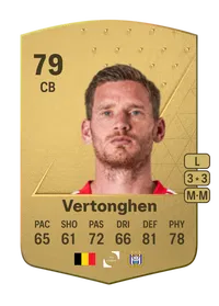 Jan Vertonghen Common 79 Overall Rating