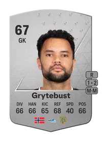 Sten Michael Grytebust Common 67 Overall Rating