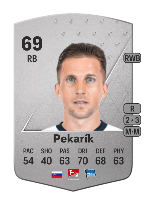 EA FC 24 Peter Pekarík 69