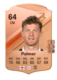 Matthew Palmer Rare 64 Overall Rating