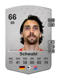 Markus Schwabl Common 66 Overall Rating