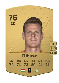 Dénes Dibusz Common 76 Overall Rating