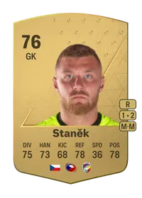 Jindřich Staněk Common 76 Overall Rating