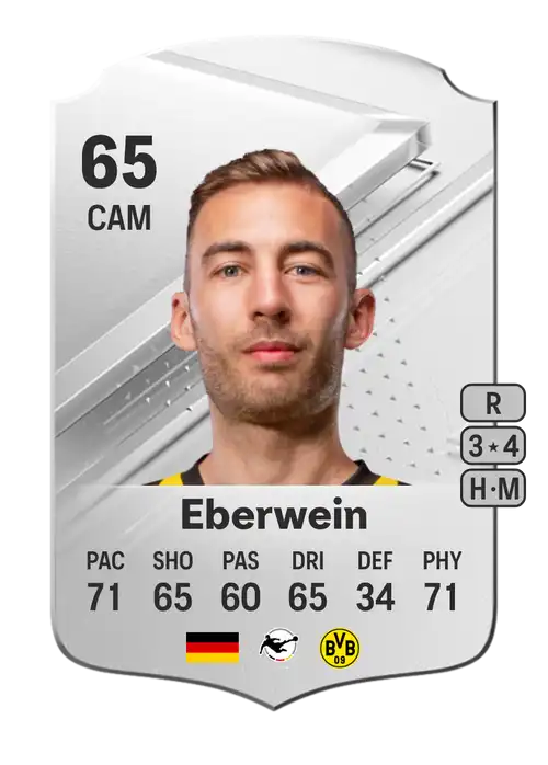 EA FC 24 Michael Eberwein 65