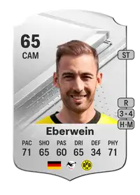 Michael Eberwein Rare 65 Overall Rating