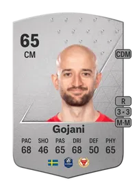 Robert Gojani Common 65 Overall Rating