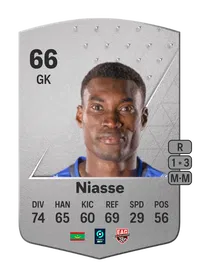 Babacar Niasse Common 66 Overall Rating