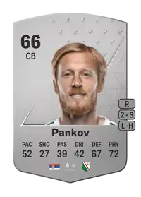 Radovan Pankov Common 66 Overall Rating