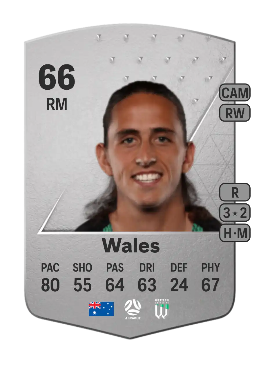Lachlan Wales Common 66 Overall Rating