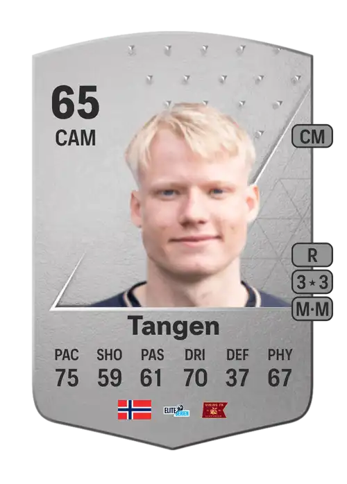 EA FC 24 Harald Nilsen Tangen 65