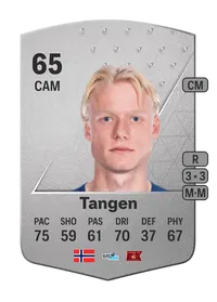 Harald Nilsen Tangen Common 65 Overall Rating