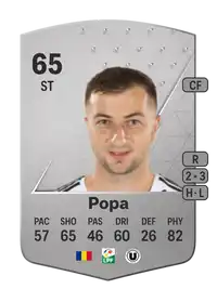 Daniel Popa Common 65 Overall Rating