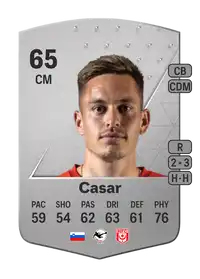 Aljaž Casar Common 65 Overall Rating