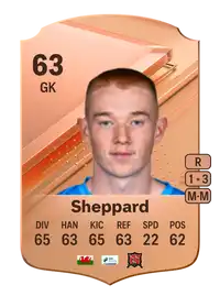 Nathan Sheppard Rare 63 Overall Rating