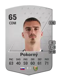 Peter Pokorný Common 65 Overall Rating