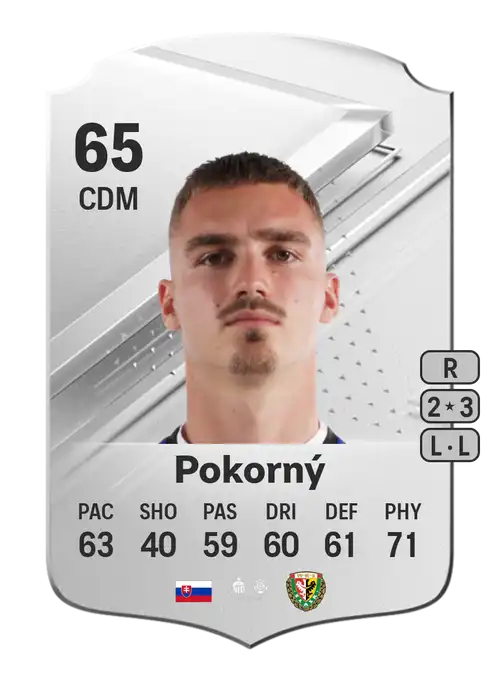 EA FC 24 Peter Pokorný 65