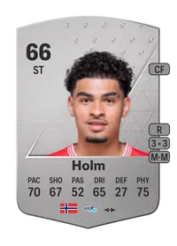 Noah Jean Holm Common 66 Overall Rating