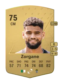Adem Zorgane Common 75 Overall Rating