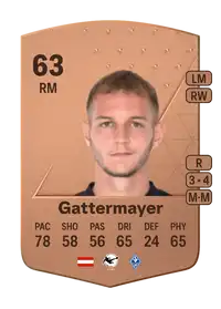 Angelo Gattermayer Common 63 Overall Rating