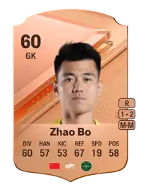 Zhao Bo Rare 60 Overall Rating