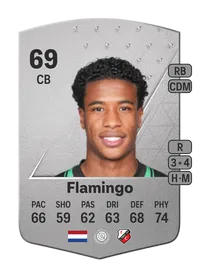 Ryan Flamingo Common 69 Overall Rating