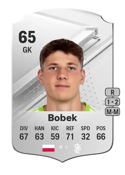 EA FC 24 Aleksander Bobek 65