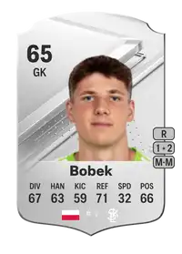 Aleksander Bobek Rare 65 Overall Rating