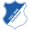 TSG Hoffenheim icon