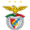 SL Benfica icon
