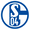 FC Schalke 04 icon