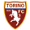 Torino icon