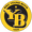 BSC Young Boys icon