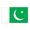 Pakistan icon