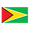 Guyana icon