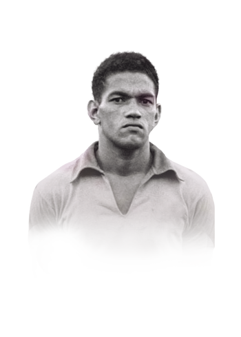 Garrincha Shapeshifters ICON