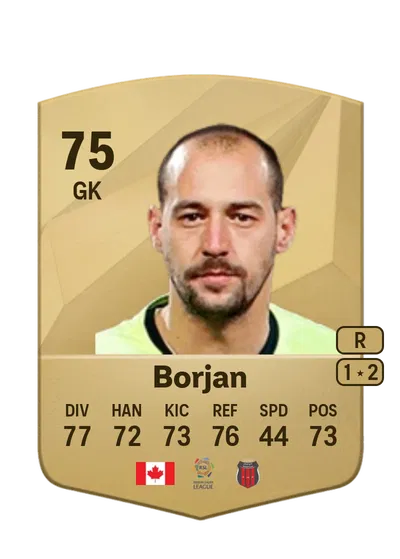 EA FC 24 Milan Borjan Common