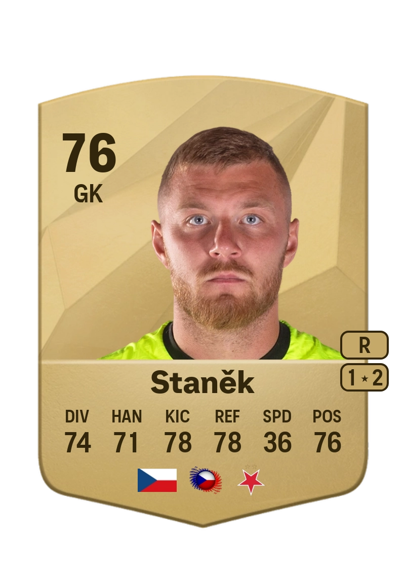 Jindřich Staněk Common 76 Overall Rating