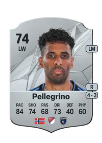 Amahl Pellegrino Rare 74 Overall Rating