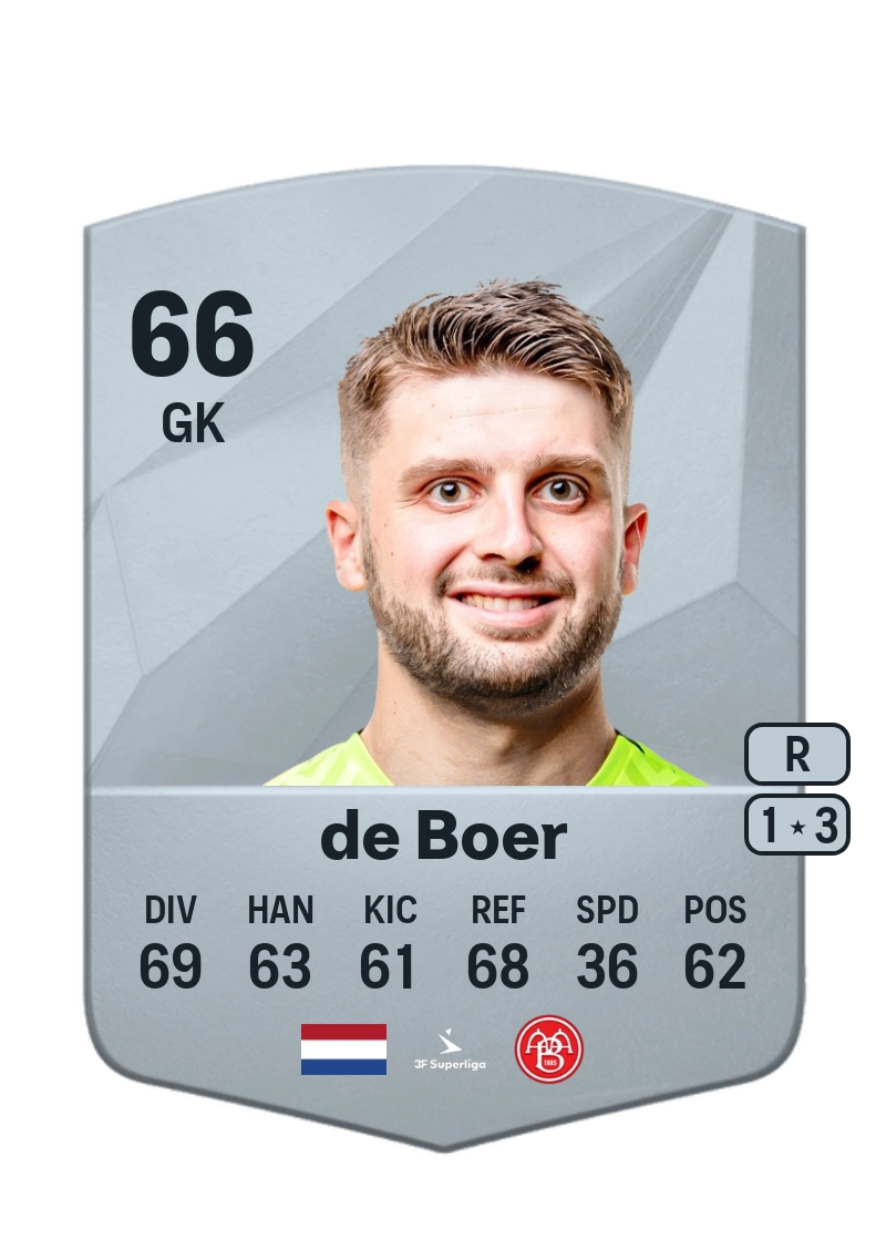 Rody de Boer Common 66 Overall Rating