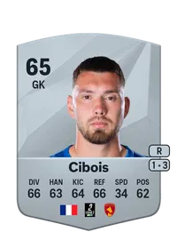 Sébastien Cibois Common 65 Overall Rating