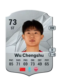 Wu Chengshu Rare 73 Overall Rating