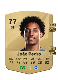 João Pedro Common 77 Overall Rating