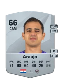 Walter Araujo Common 66 Overall Rating