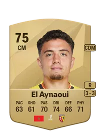 Neil El Aynaoui Common 75 Overall Rating