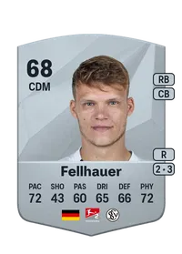 Robin Fellhauer Common 68 Overall Rating