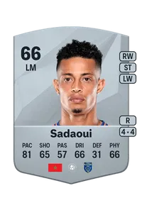 Noah Wail Jacob Sadaoui Common 66 Overall Rating