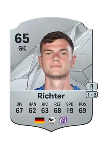 David Richter Rare 65 Overall Rating