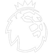 Premier League icon