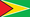 Guyana icon