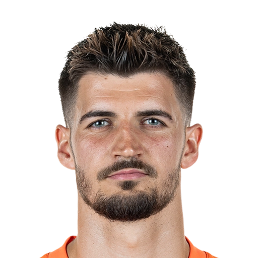 Nikola Vasilj 